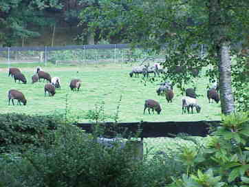 Gezoomter Blick aus dem Küchenfenster